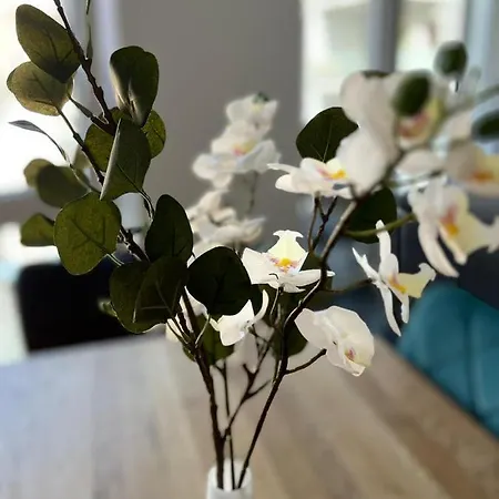 Modern By Pma Apartment