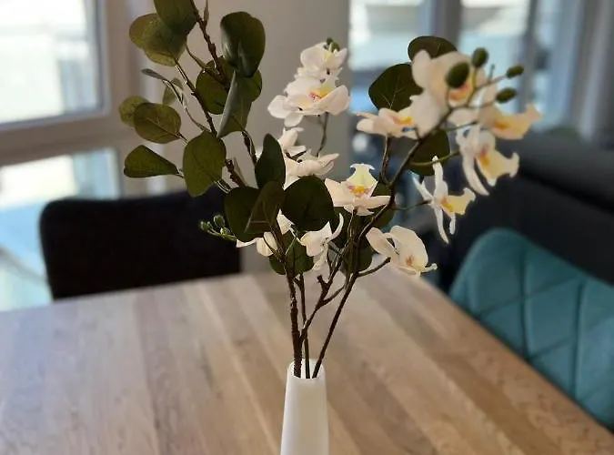 公寓 Modern By Pma 美因茨