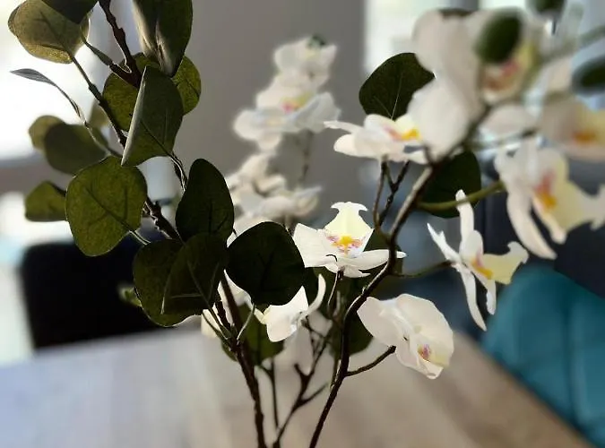 Modern By Pma 公寓