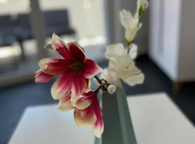 Modern By Pma 公寓 *